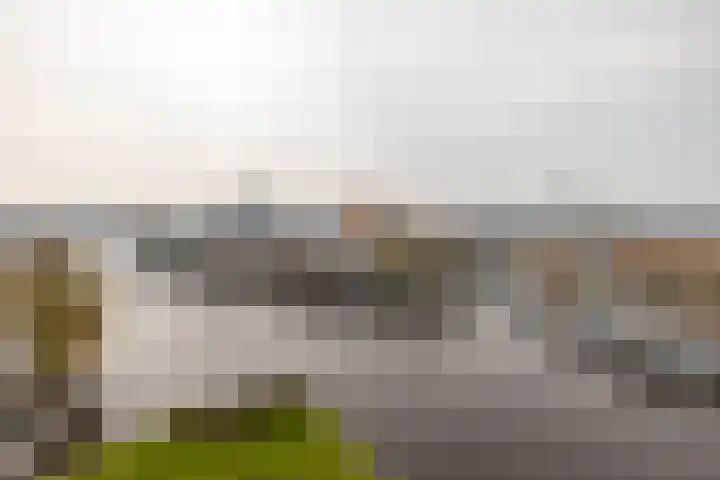 De Brink 168 Groningen thumbnail 23