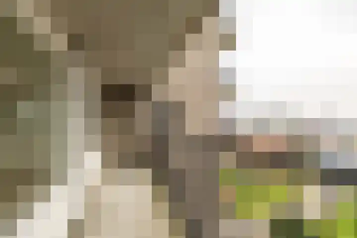 De Brink 168 Groningen thumbnail 28