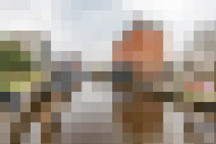 De Brink 168 Groningen thumbnail 29