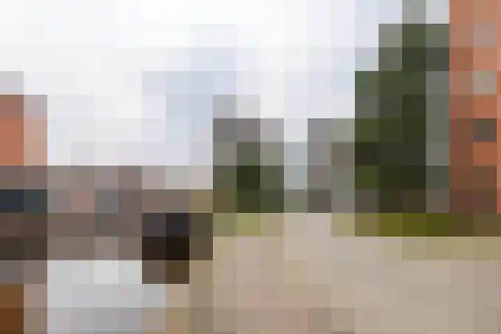 De Brink 168 Groningen thumbnail 5