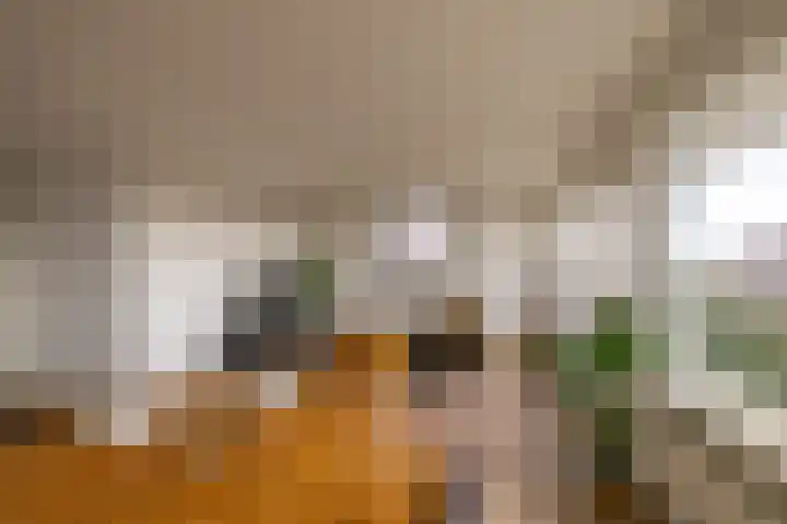 De Brink 170 Groningen thumbnail 4