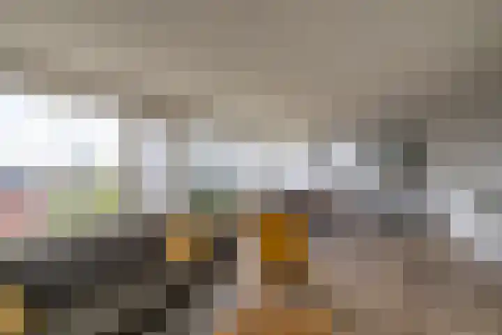 De Brink 170 Groningen thumbnail 5