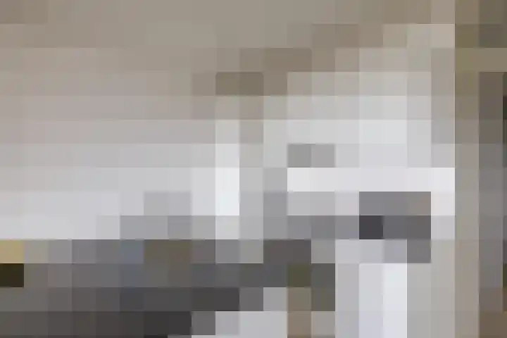 De Brink 170 Groningen thumbnail 7