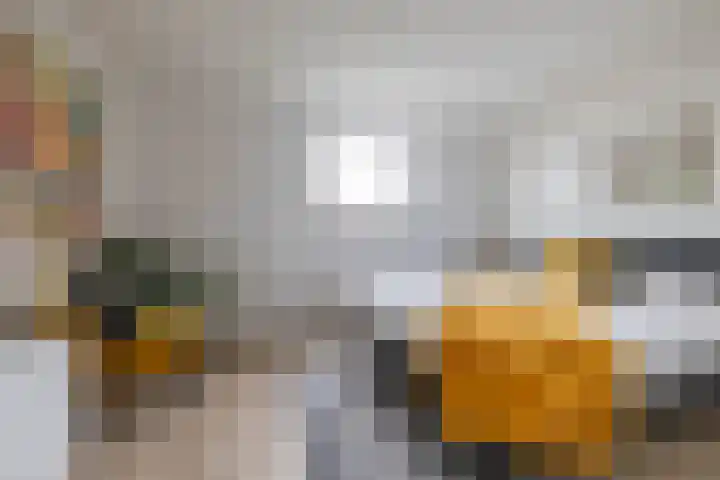 De Brink 178 Groningen thumbnail 18