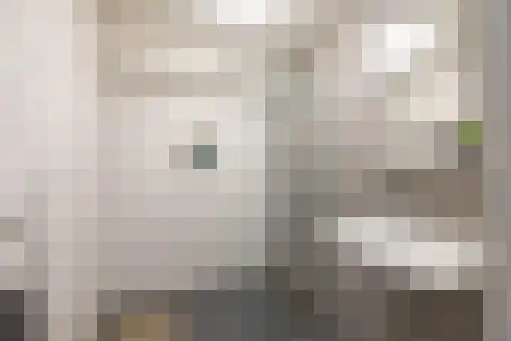 De Brink 178 Groningen thumbnail 21