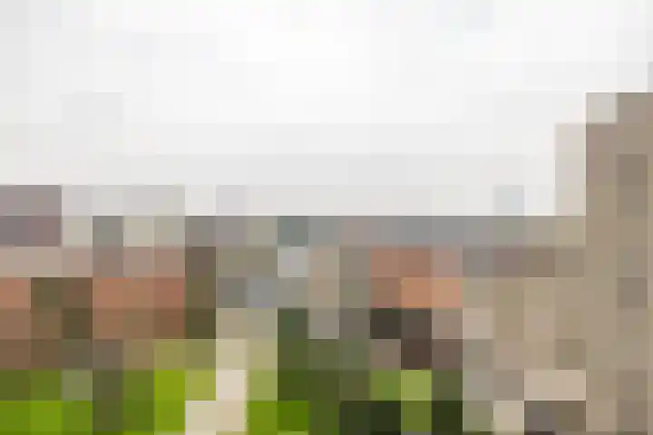 De Brink 178 Groningen thumbnail 27