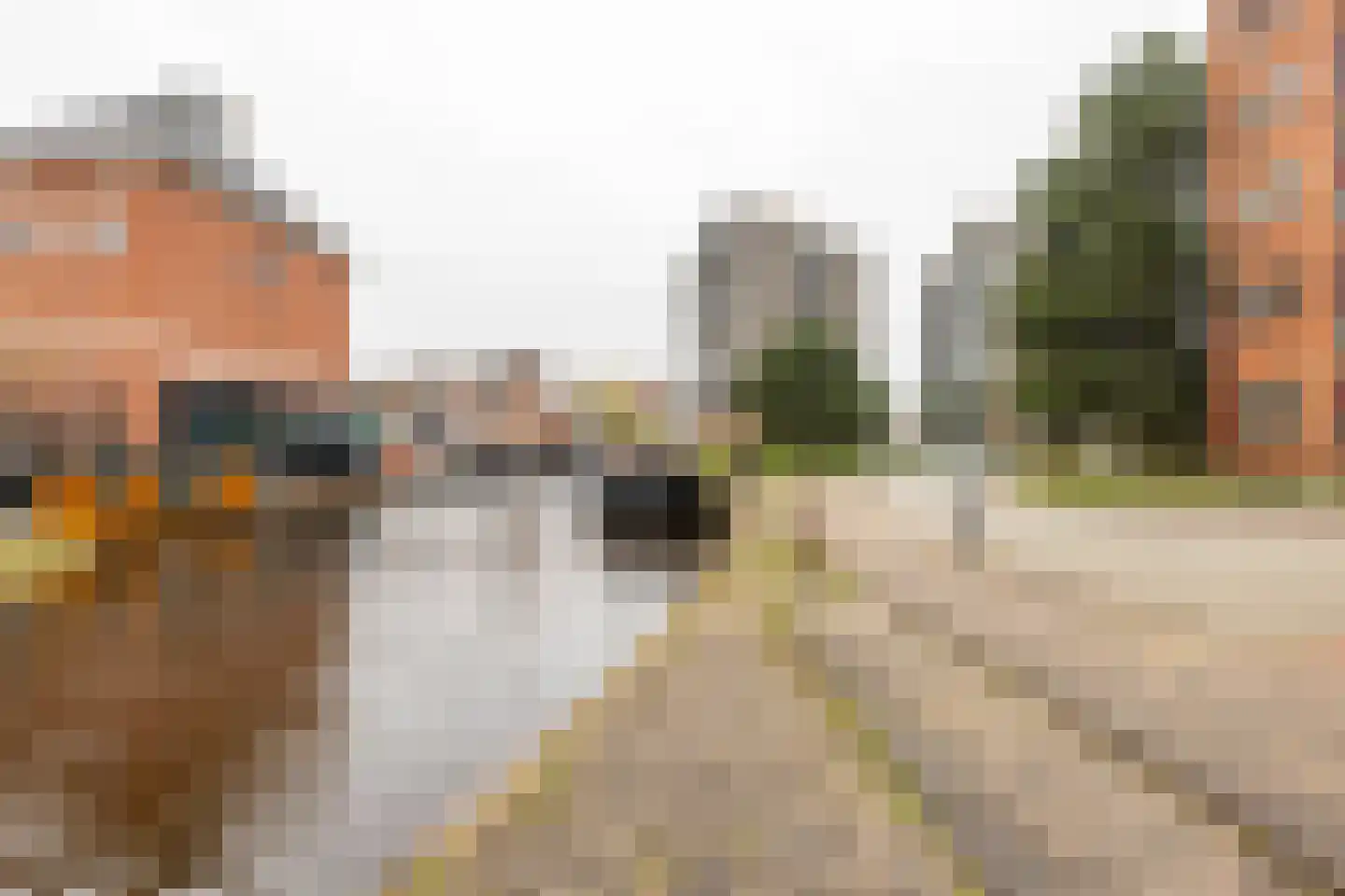 De Brink 178 Groningen thumbnail 29