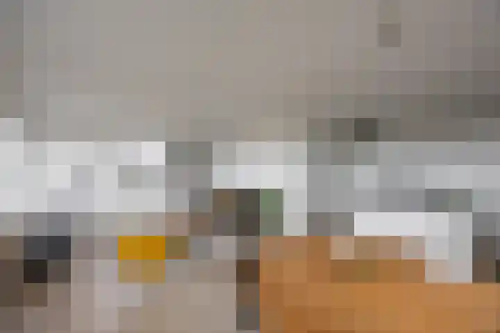 De Brink 180 Groningen thumbnail 14