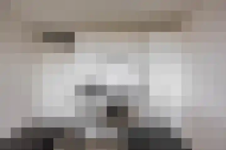 De Brink 180 Groningen thumbnail 15