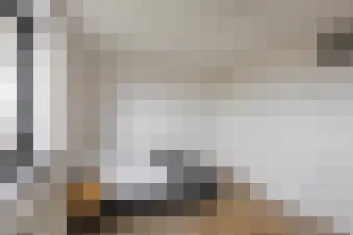De Brink 180 Groningen thumbnail 18