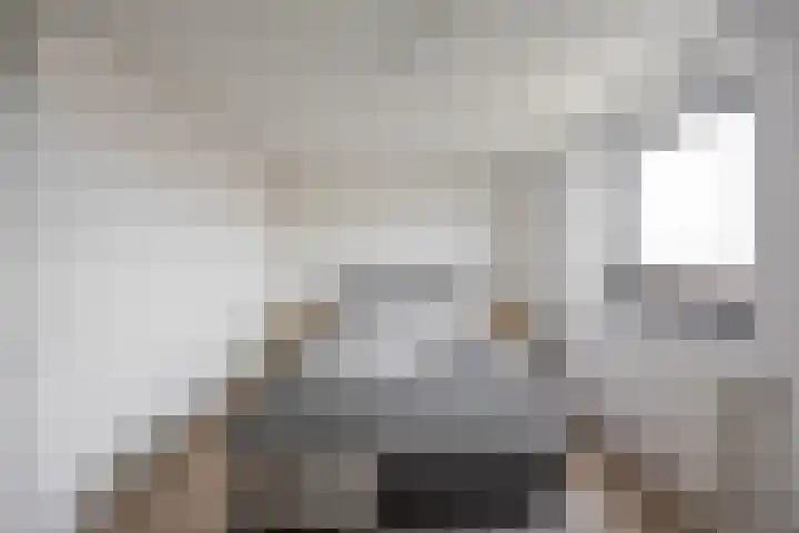 De Brink 180 Groningen thumbnail 19