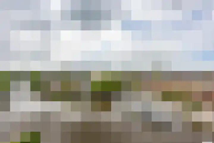De Brink 180 Groningen thumbnail 26