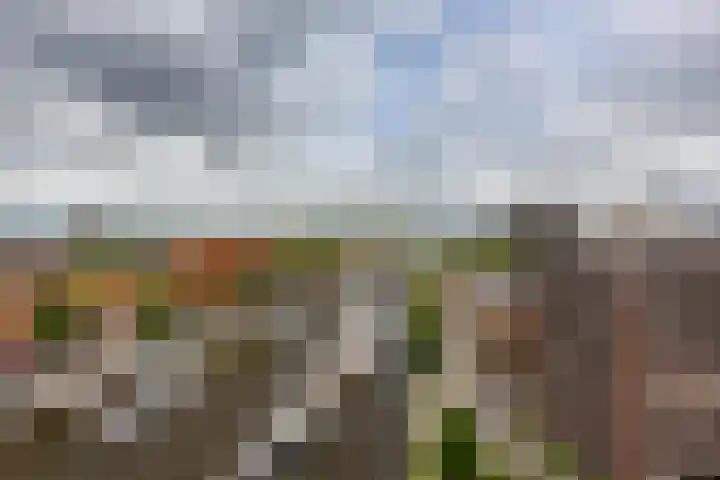 De Brink 180 Groningen thumbnail 27