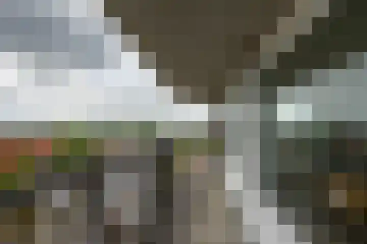 De Brink 180 Groningen thumbnail 28