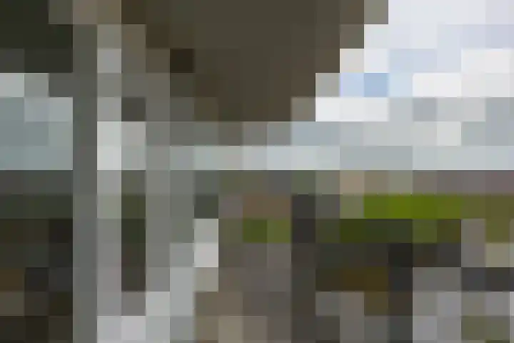 De Brink 180 Groningen thumbnail 4