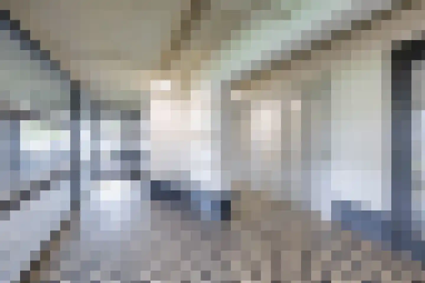 De Brink 190 Groningen thumbnail 10