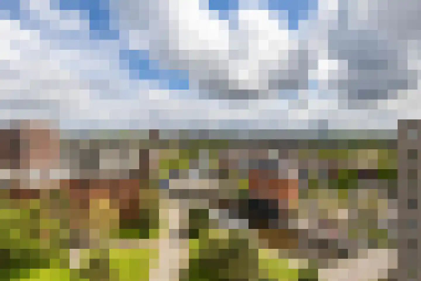 De Brink 190 Groningen thumbnail 8