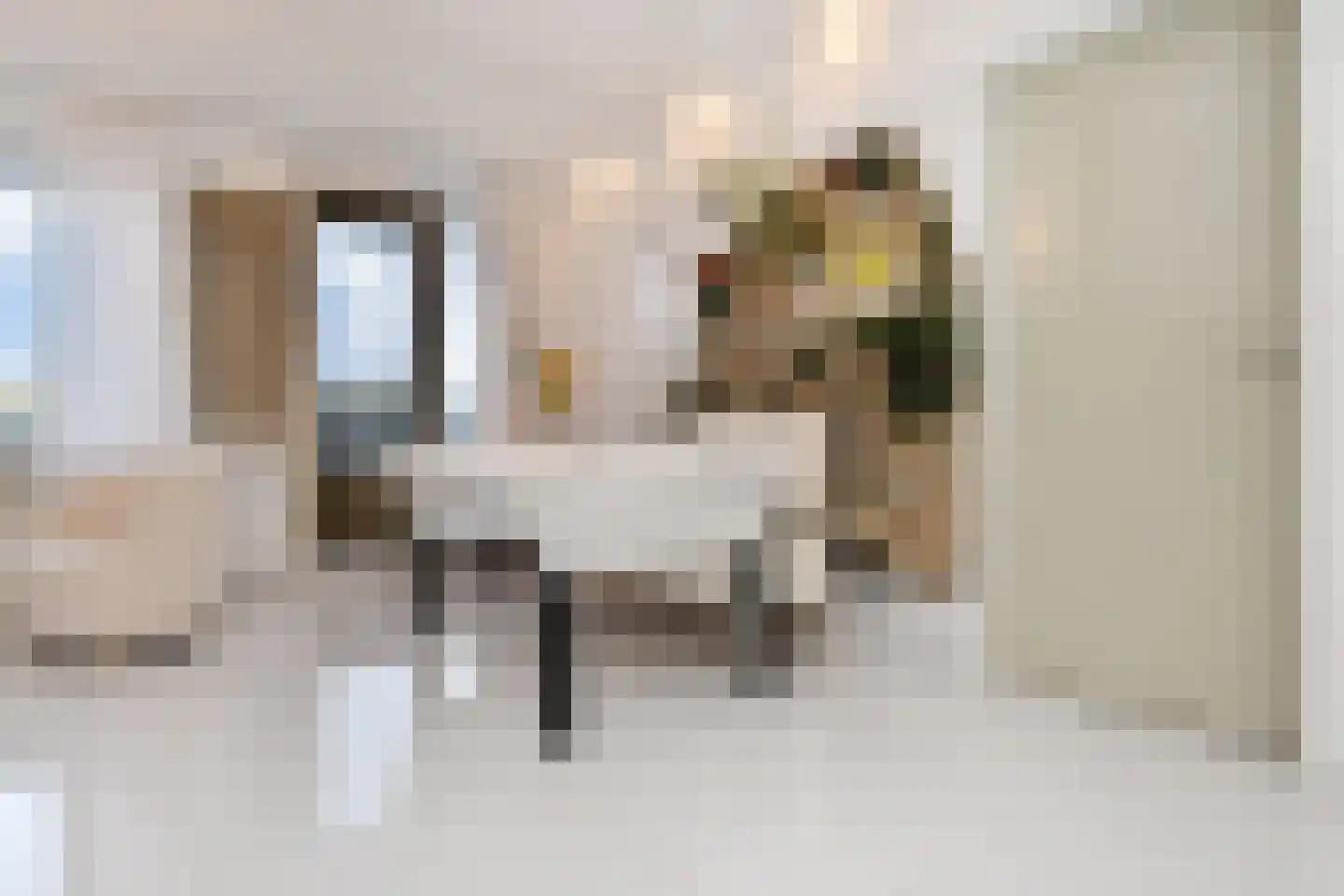 De Brink 196 Den Haag thumbnail 11