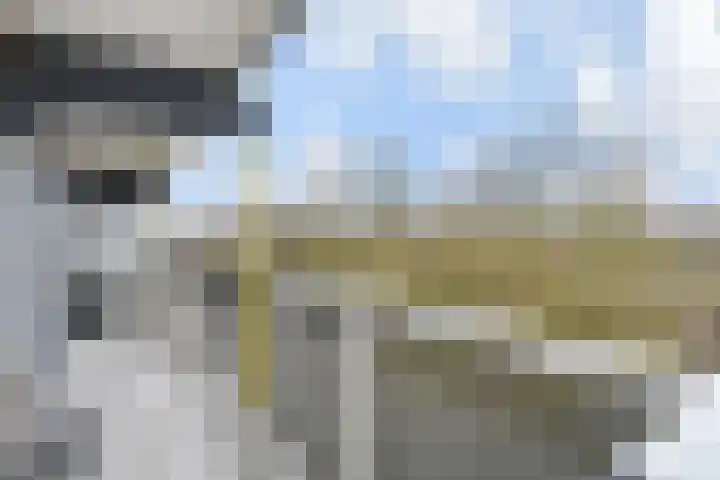 De Brink 196 Den Haag thumbnail 16