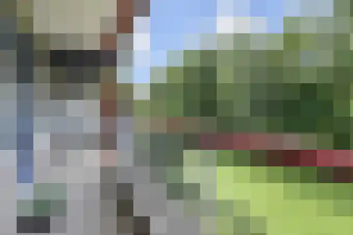 De Brink 214 Den Haag thumbnail 33