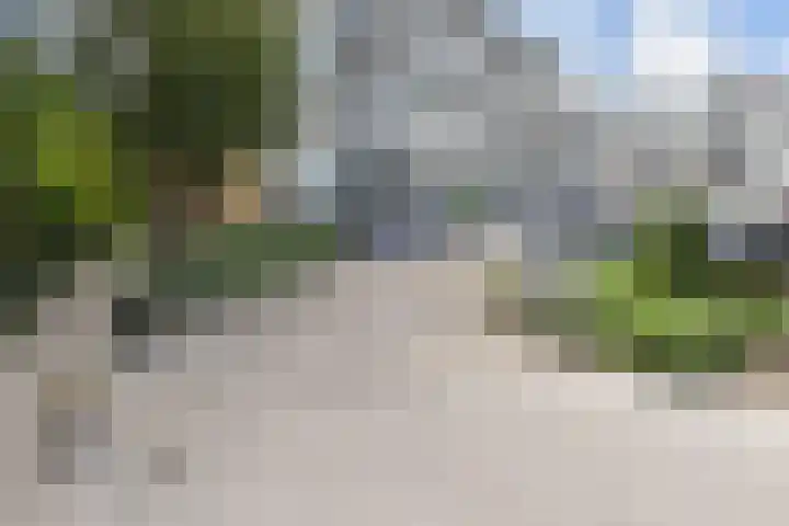 De Brink 214 Den Haag thumbnail 35