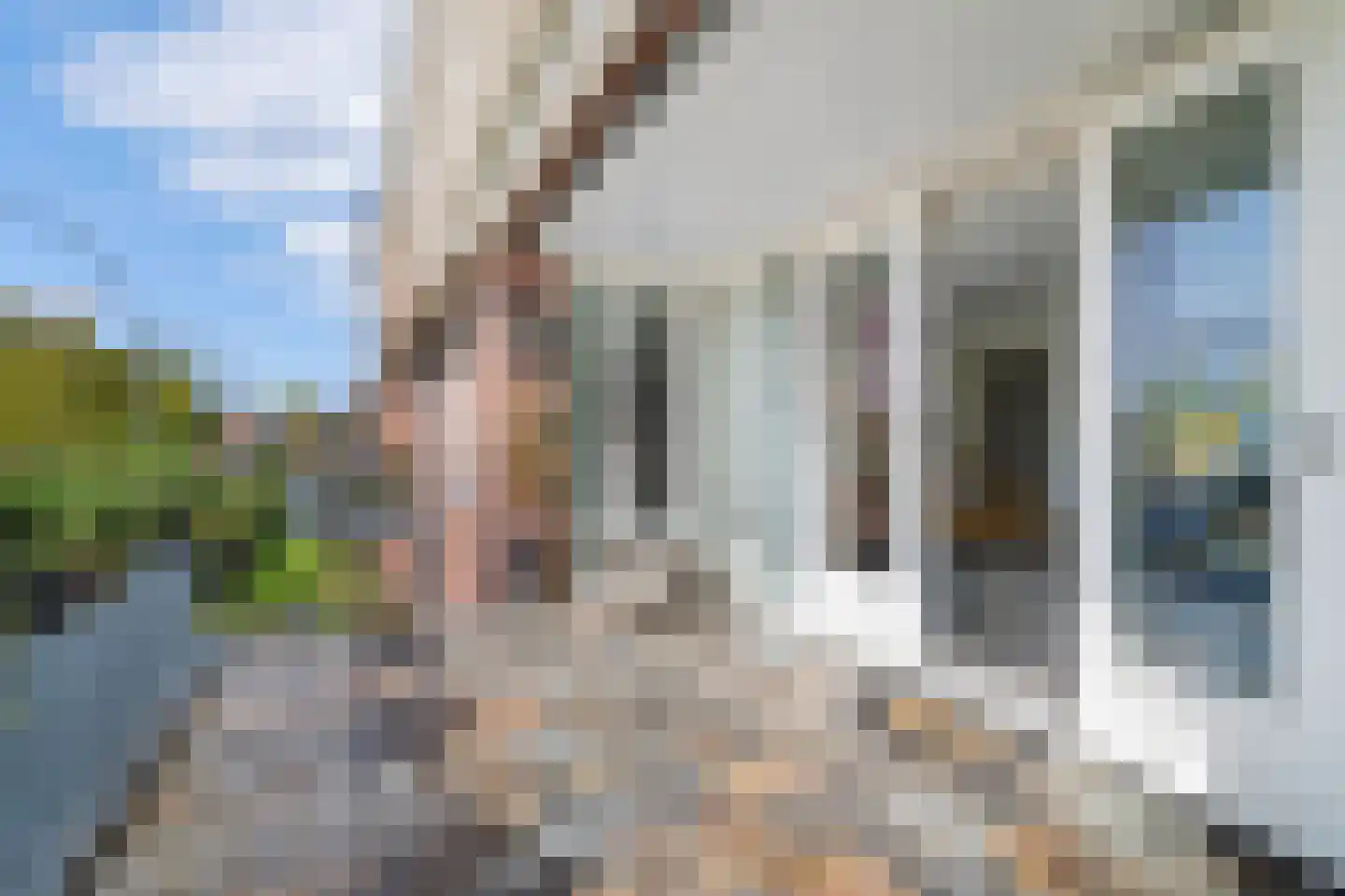 De Brink 22 Castricum thumbnail 10