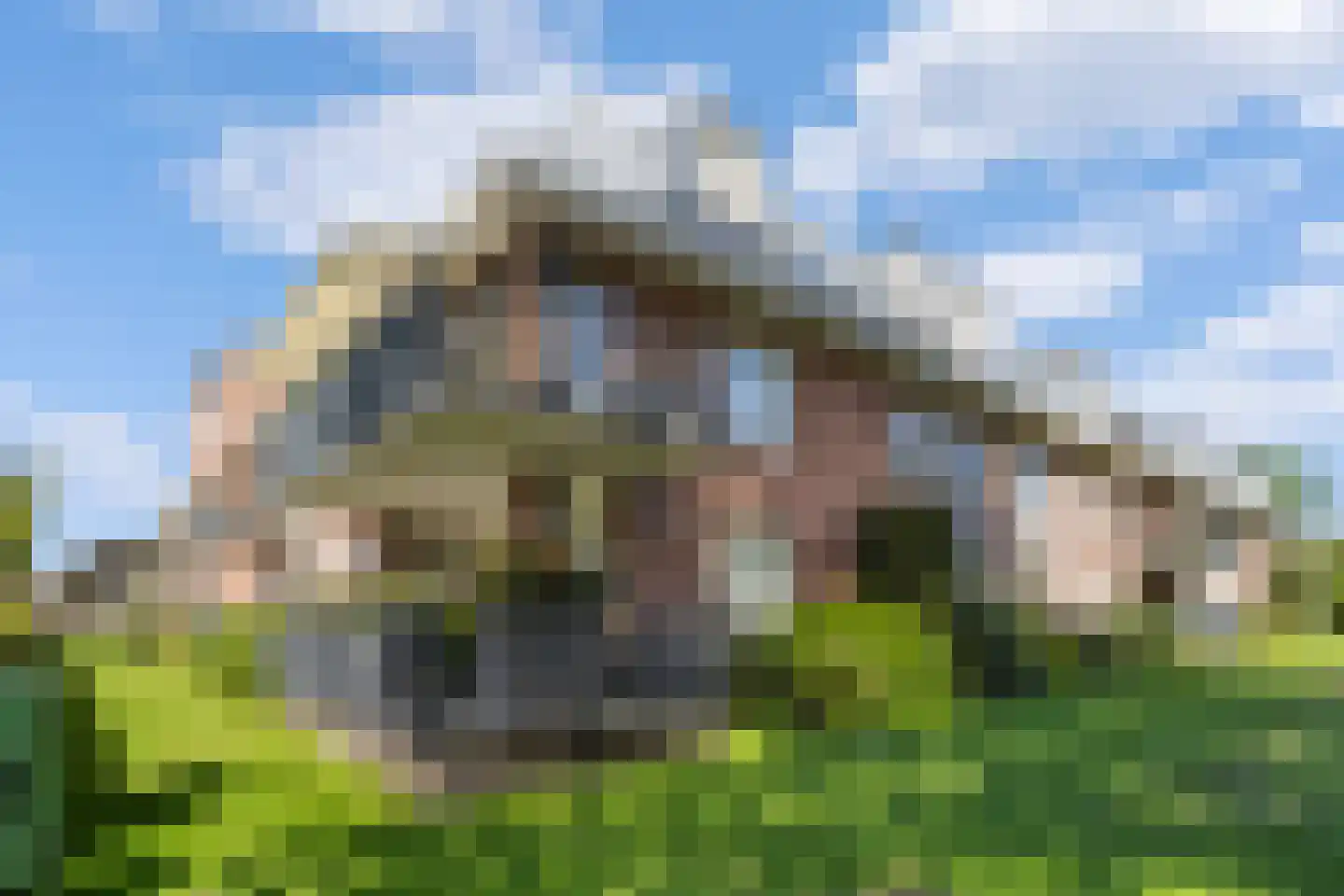 De Brink 22 Castricum foto 2