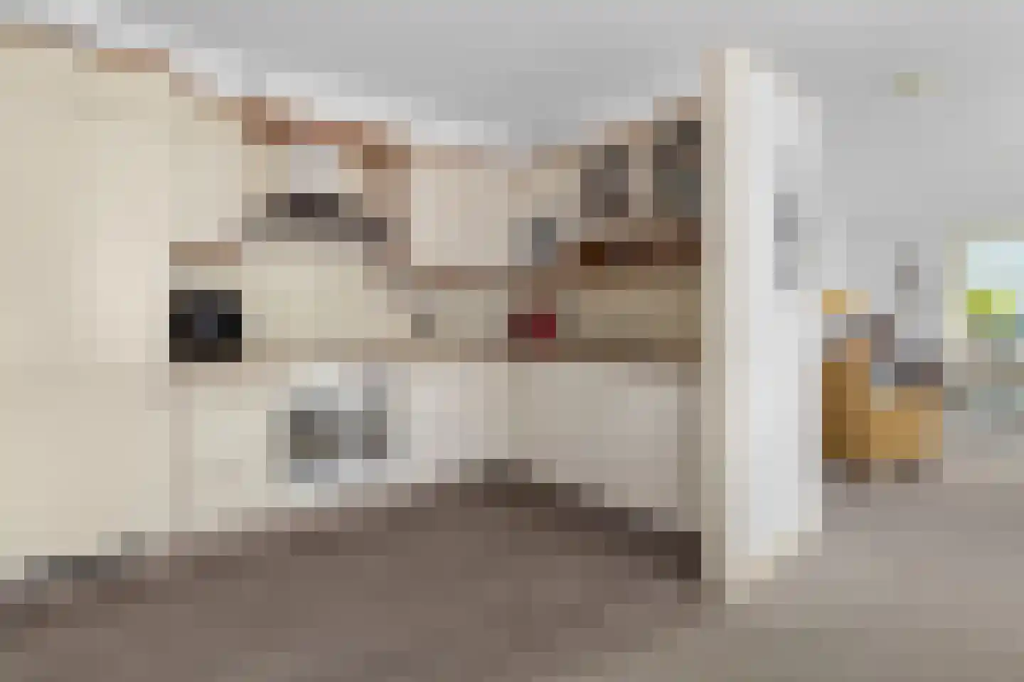 De Brink 22 Castricum thumbnail 7