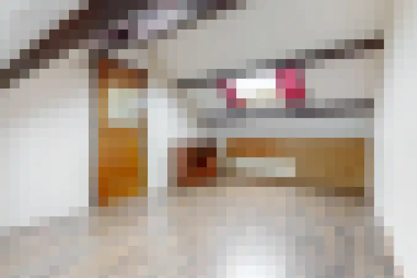 De Brink 22 Rhenoy thumbnail 21