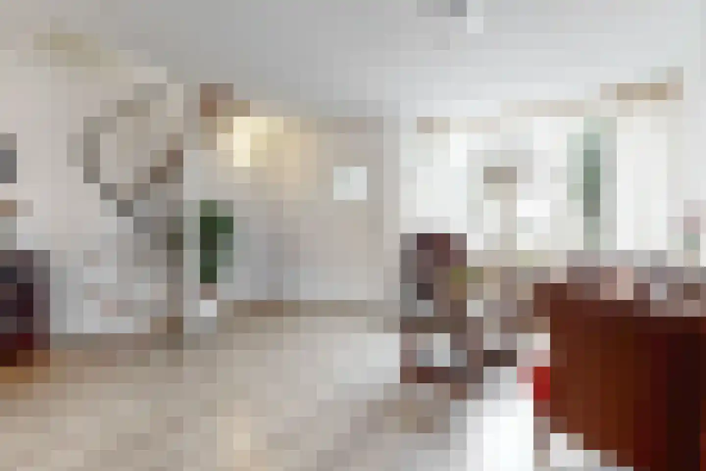 De Brink 22 Rhenoy thumbnail 5