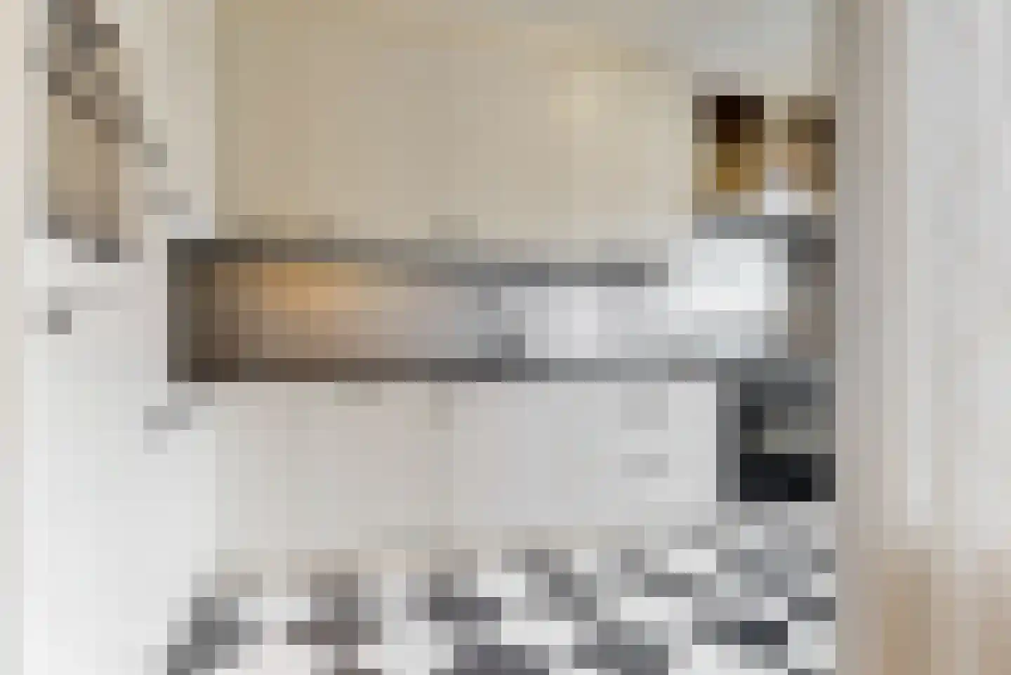 De Brink 22 Rhenoy thumbnail 9