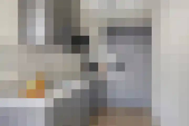de Brink 24 Losser thumbnail 13