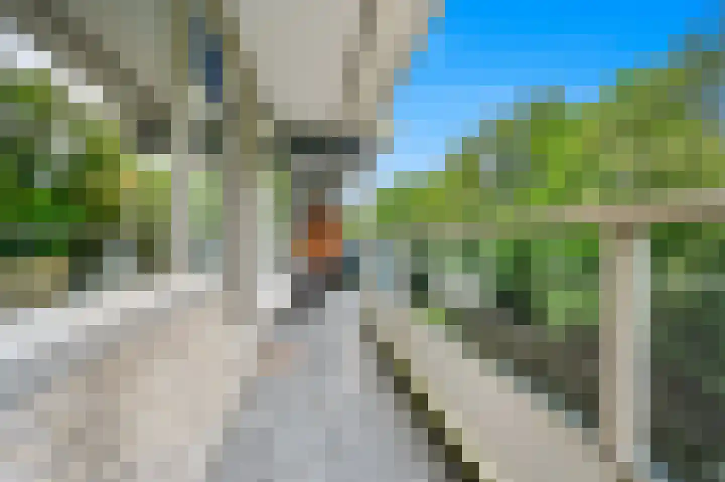 De Brink 266 Den Haag thumbnail 10