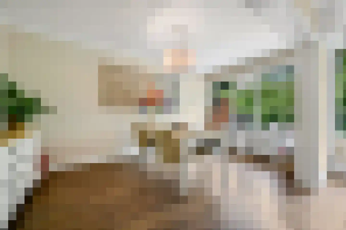 De Brink 266 Den Haag thumbnail 14