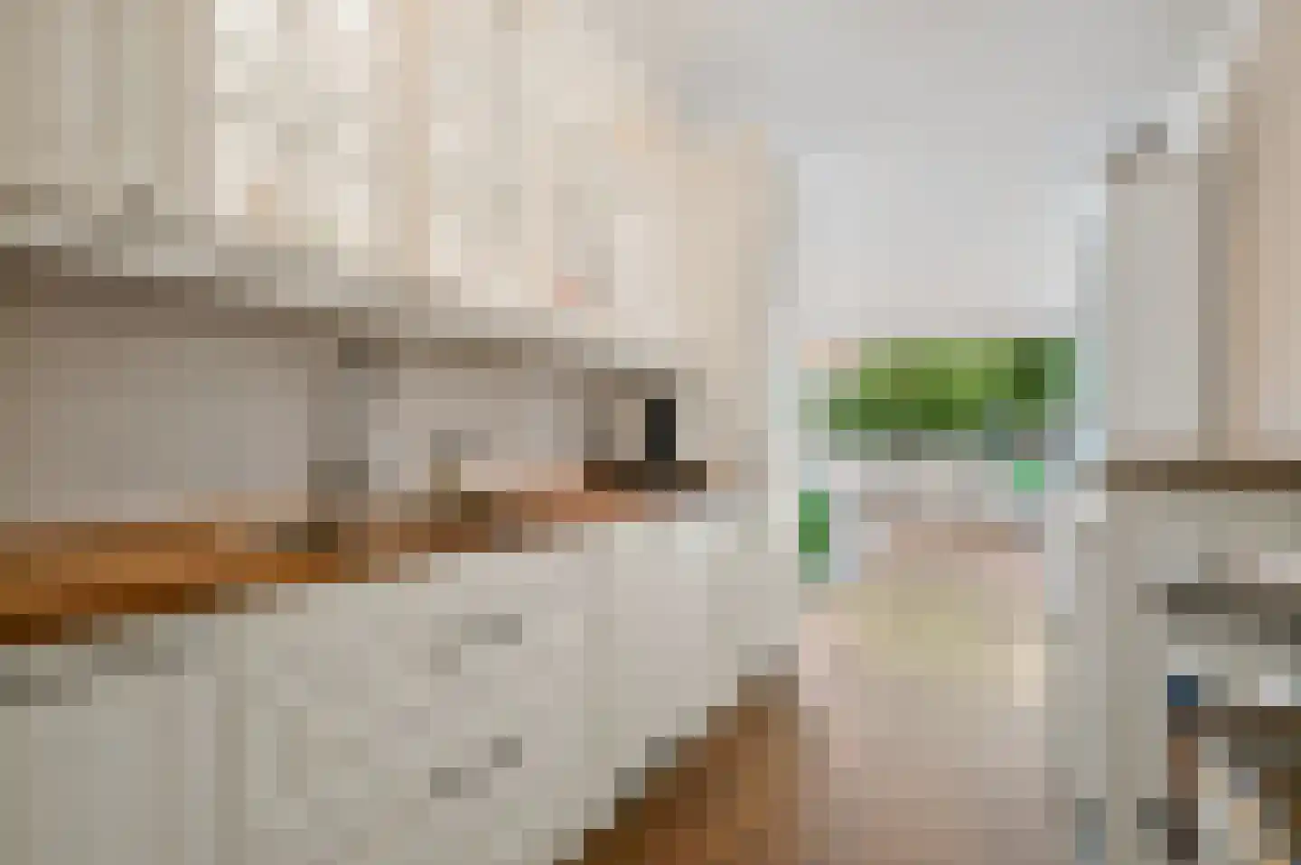 De Brink 266 Den Haag thumbnail 18
