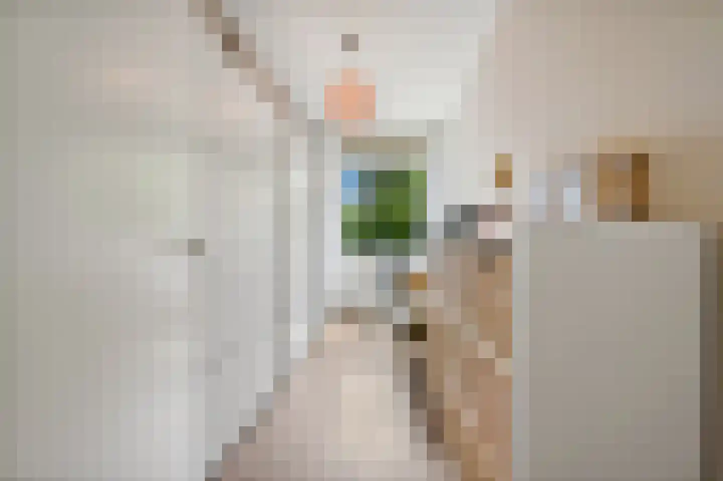 De Brink 266 Den Haag thumbnail 22