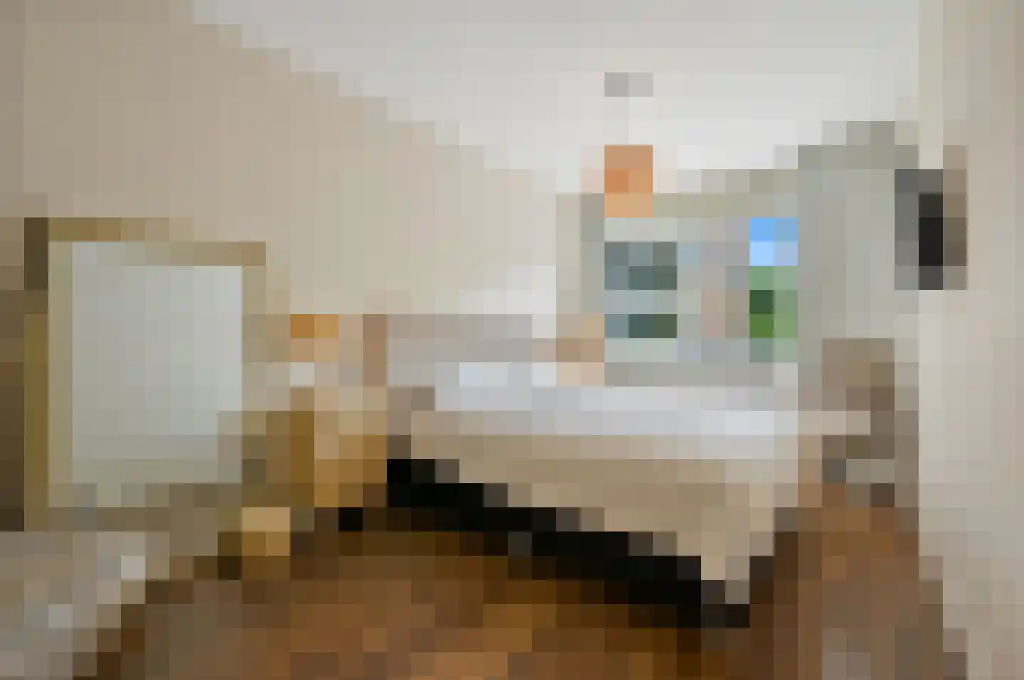 De Brink 266 Den Haag thumbnail 27