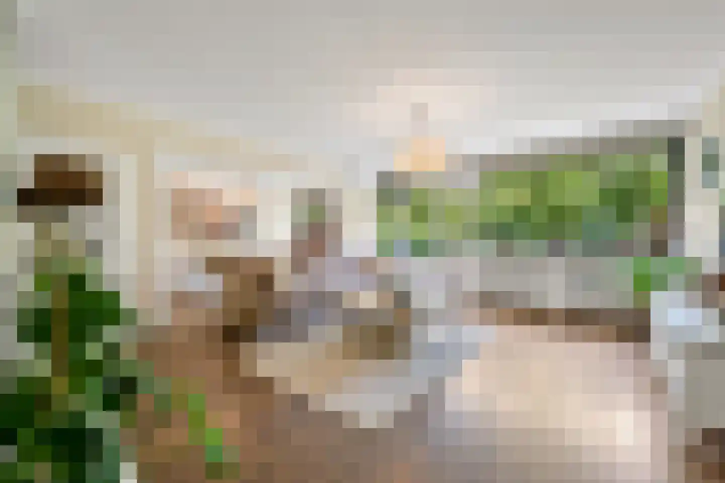 De Brink 266 Den Haag thumbnail 6
