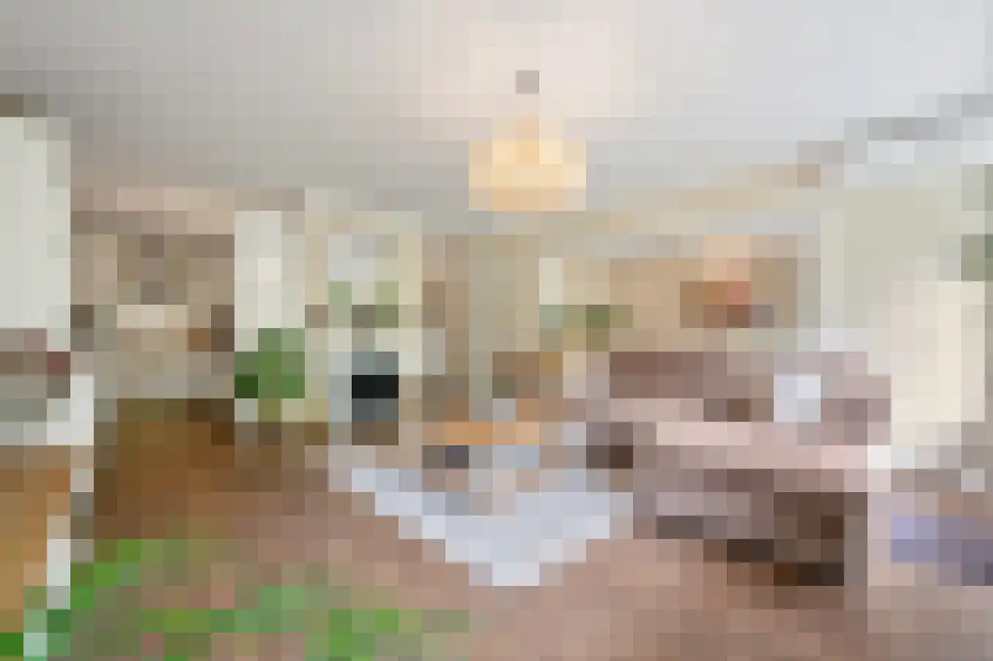 De Brink 266 Den Haag thumbnail 7