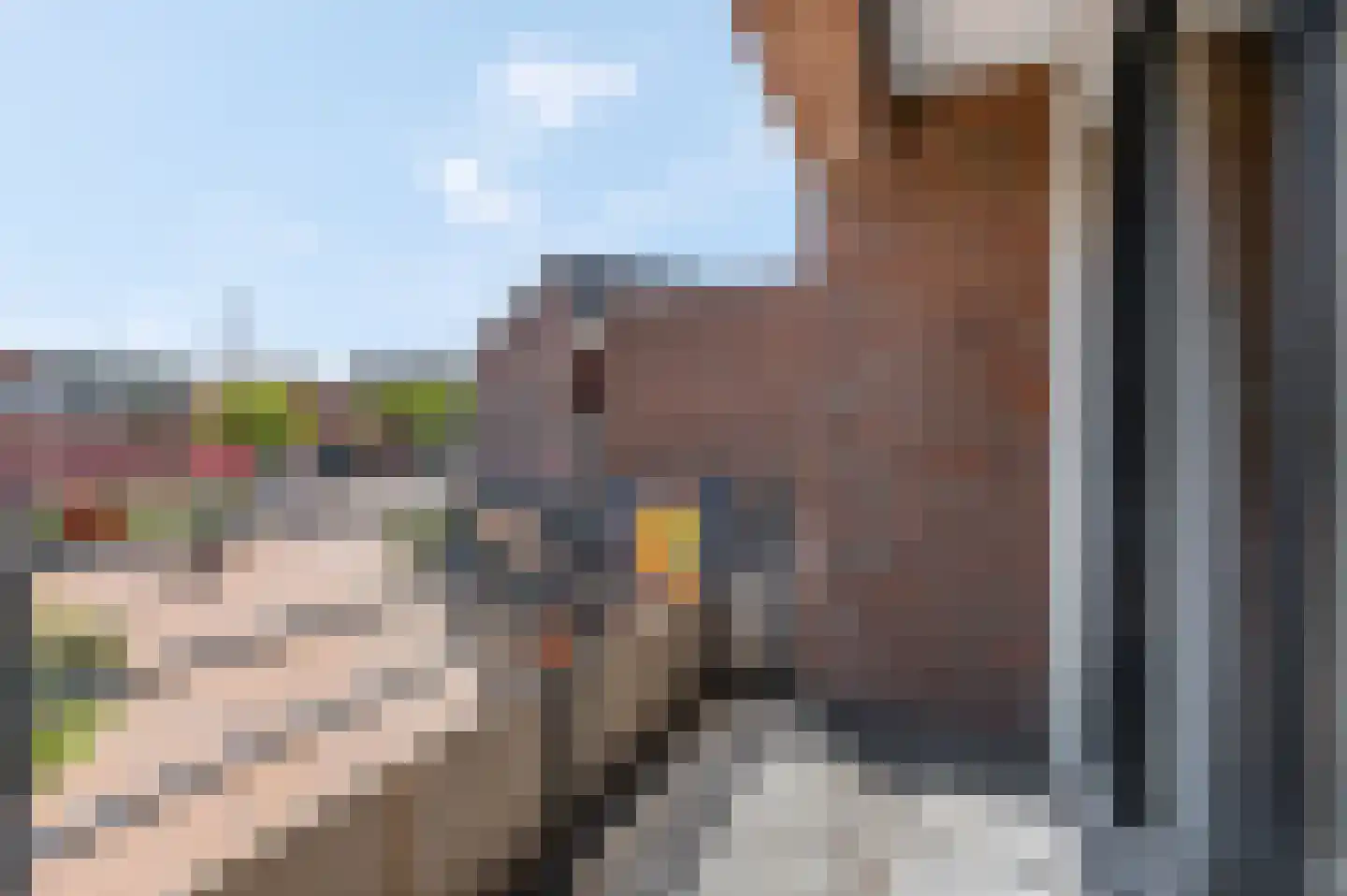 De Brink 27 Hoevelaken thumbnail 9