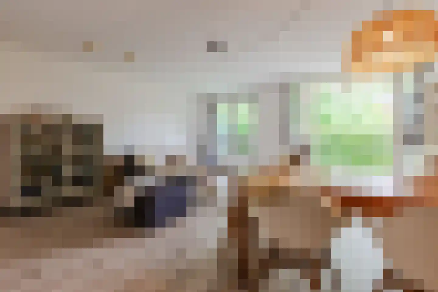 De Brink 3 Castricum thumbnail 10