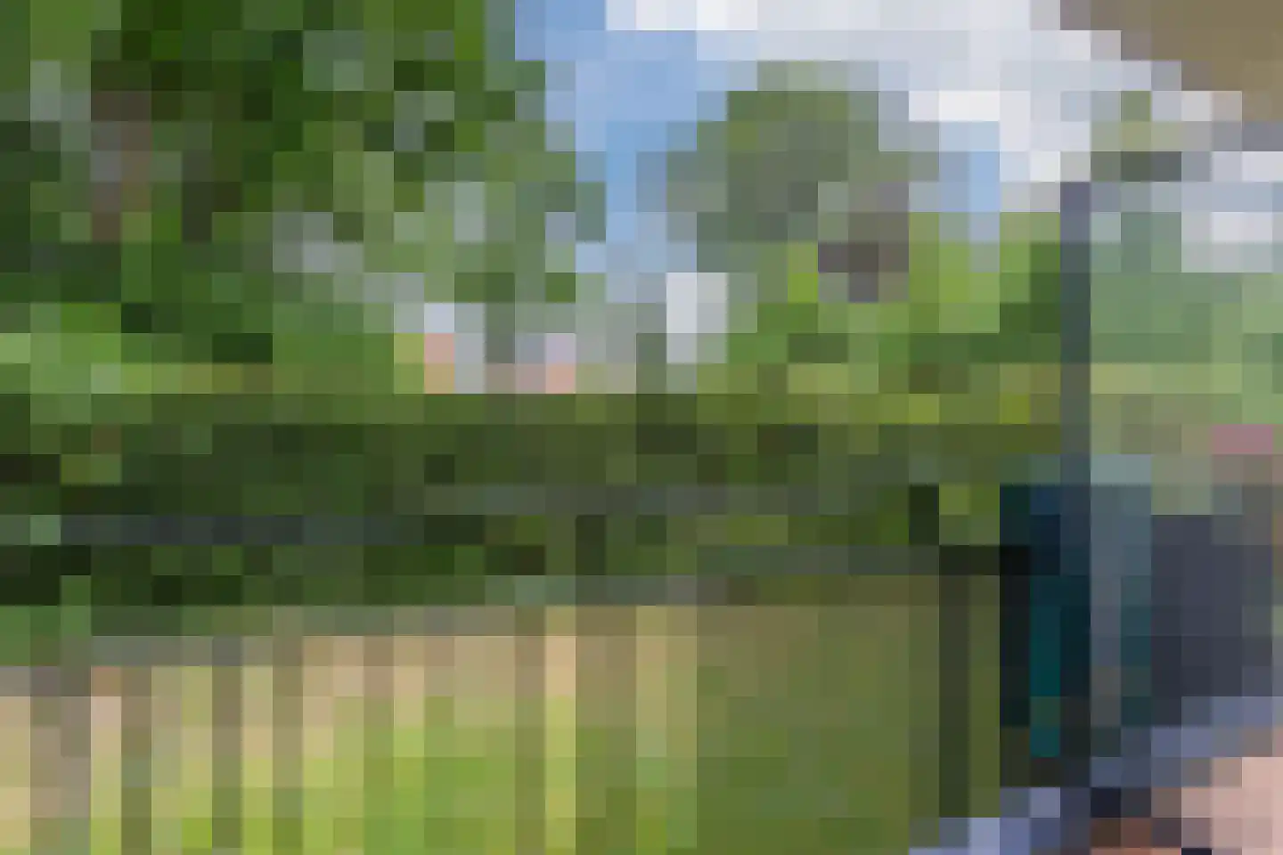 De Brink 3 Castricum thumbnail 12