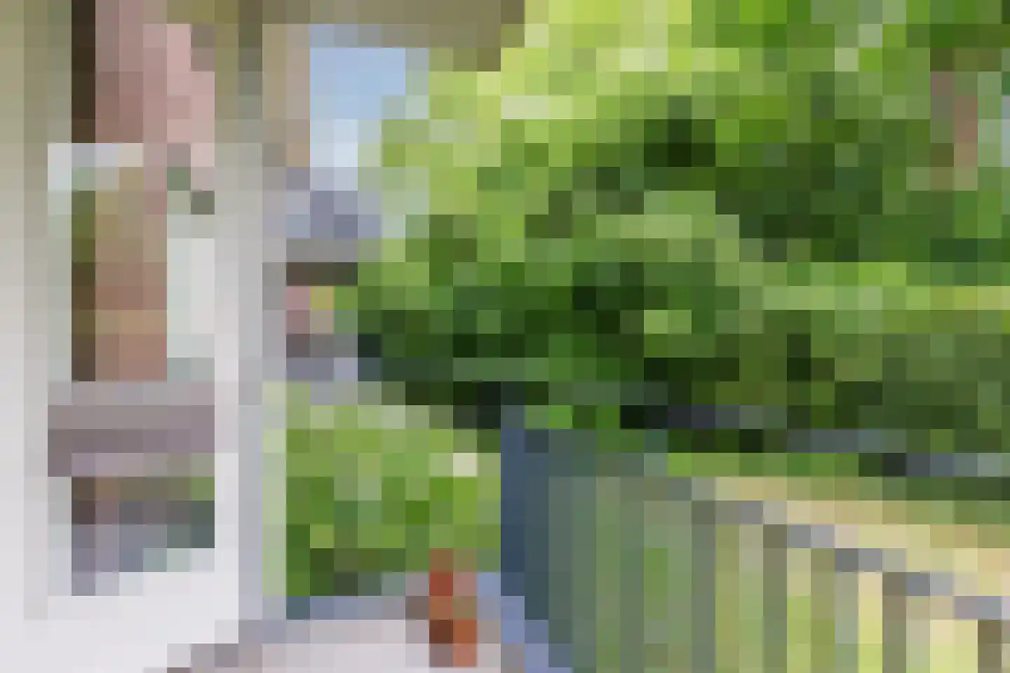 De Brink 3 Castricum thumbnail 13
