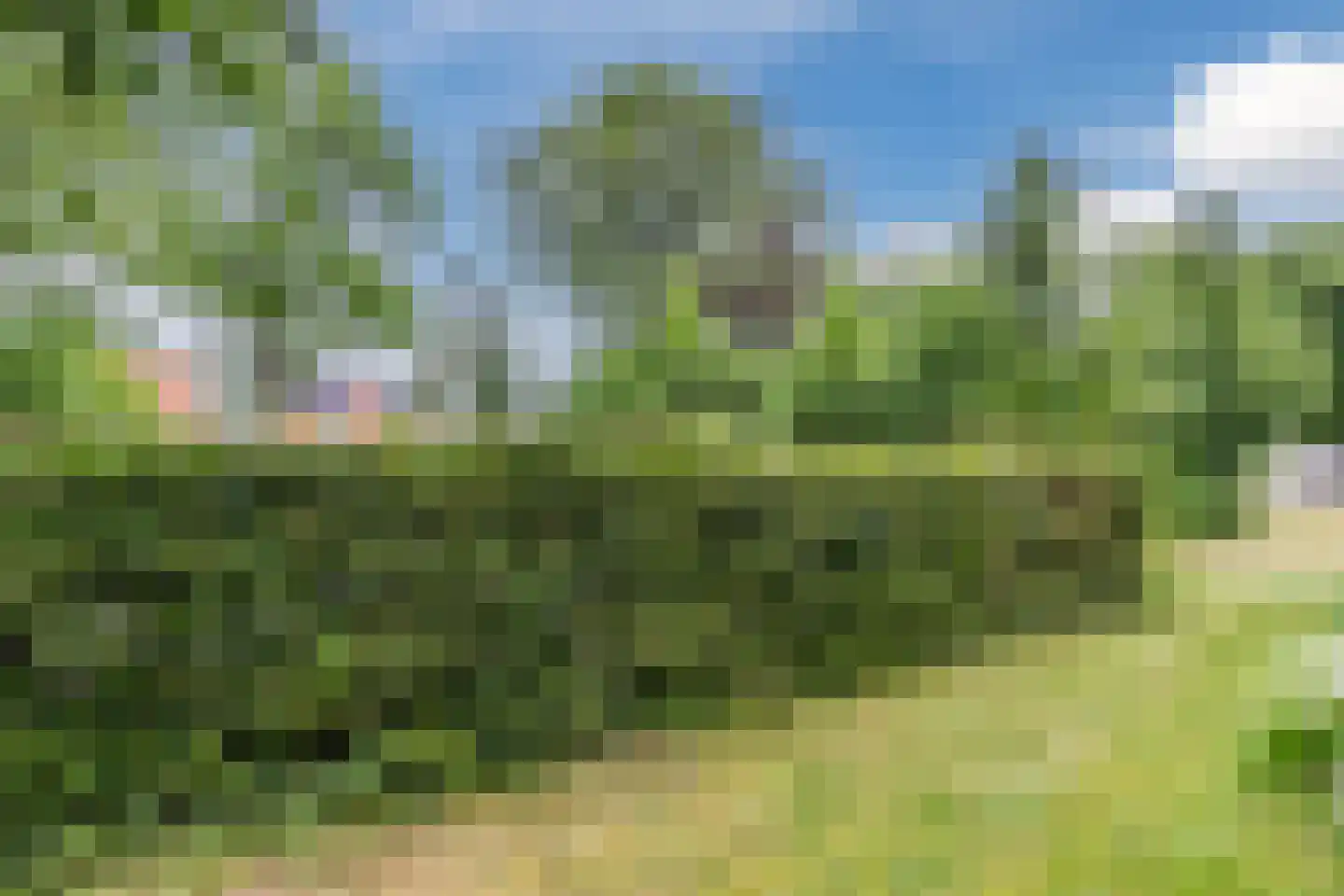 De Brink 3 Castricum thumbnail 14