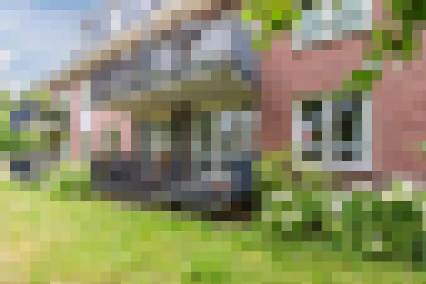 De Brink 3 Castricum thumbnail 15