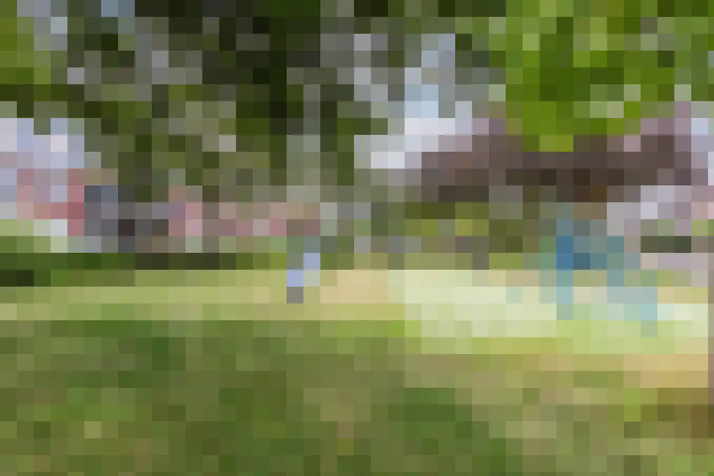De Brink 3 Castricum thumbnail 35