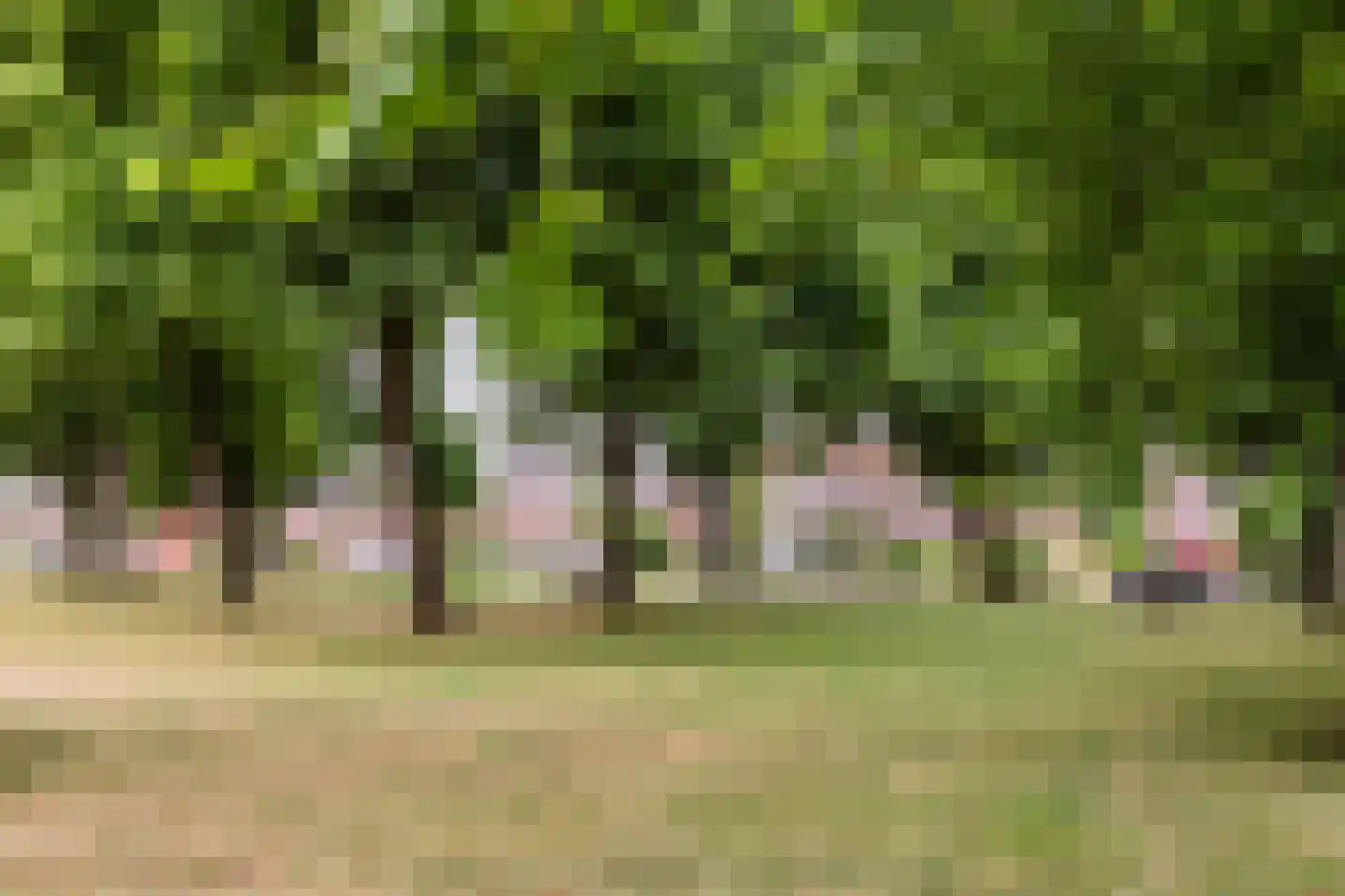 De Brink 3 Castricum thumbnail 36