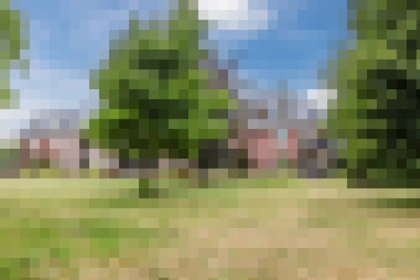De Brink 3 Castricum thumbnail 37