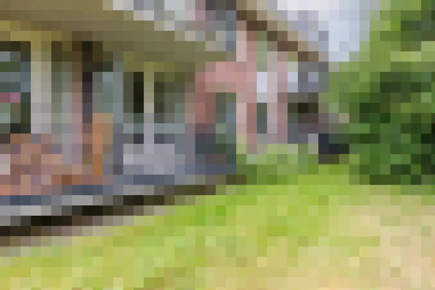 De Brink 3 Castricum thumbnail 5