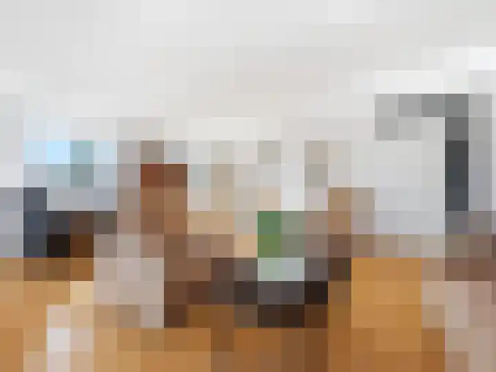 De Brink 314 Zutphen thumbnail 7